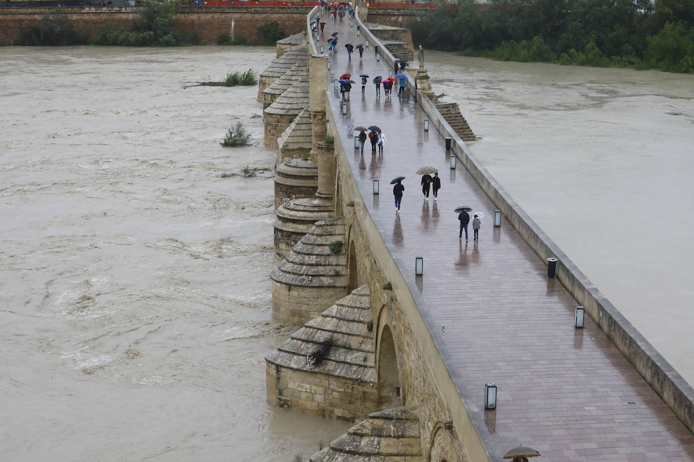 Fotos: la gran crecida del Guadalquivir a su paso por Córdoba