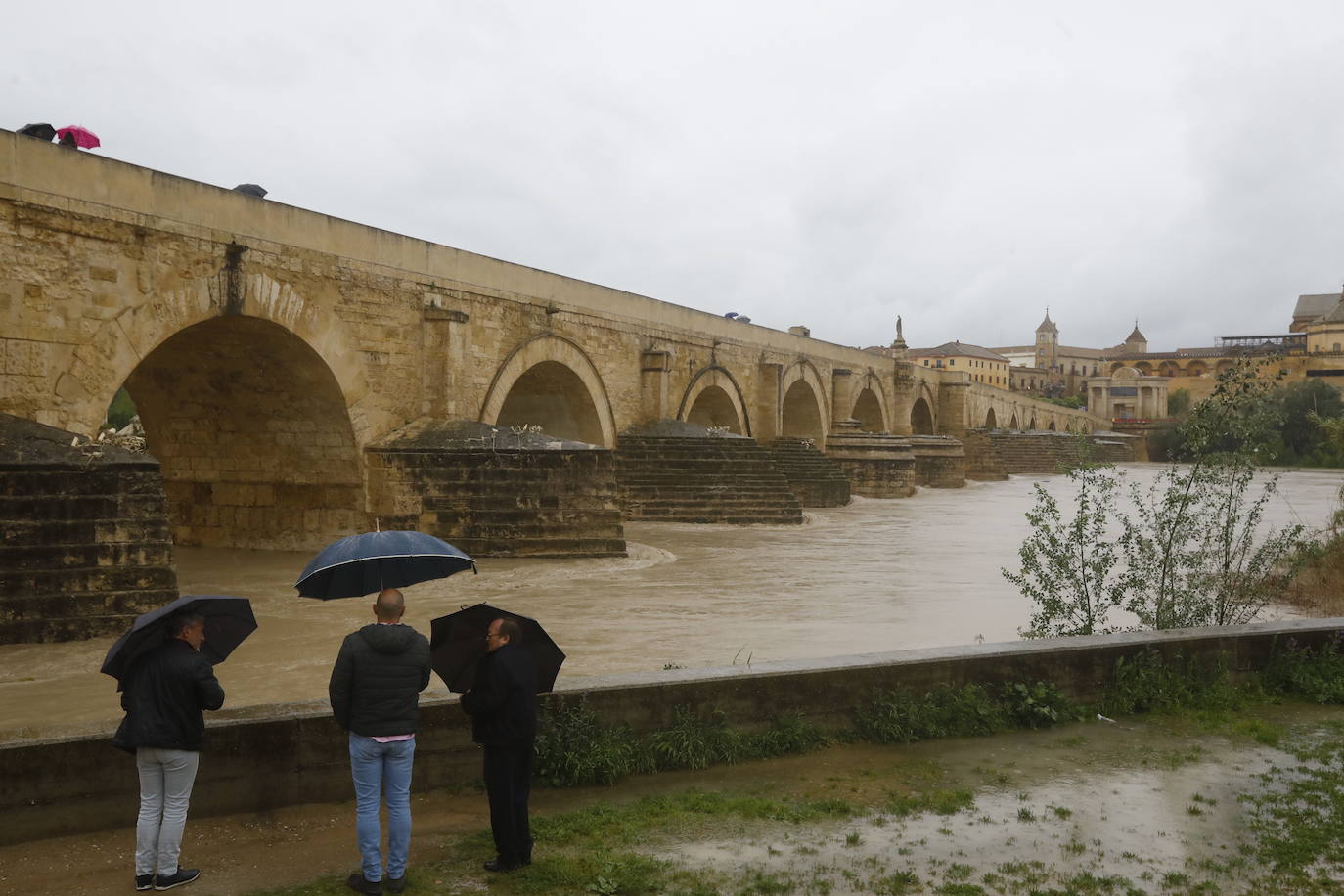 Fotos: la gran crecida del Guadalquivir a su paso por Córdoba