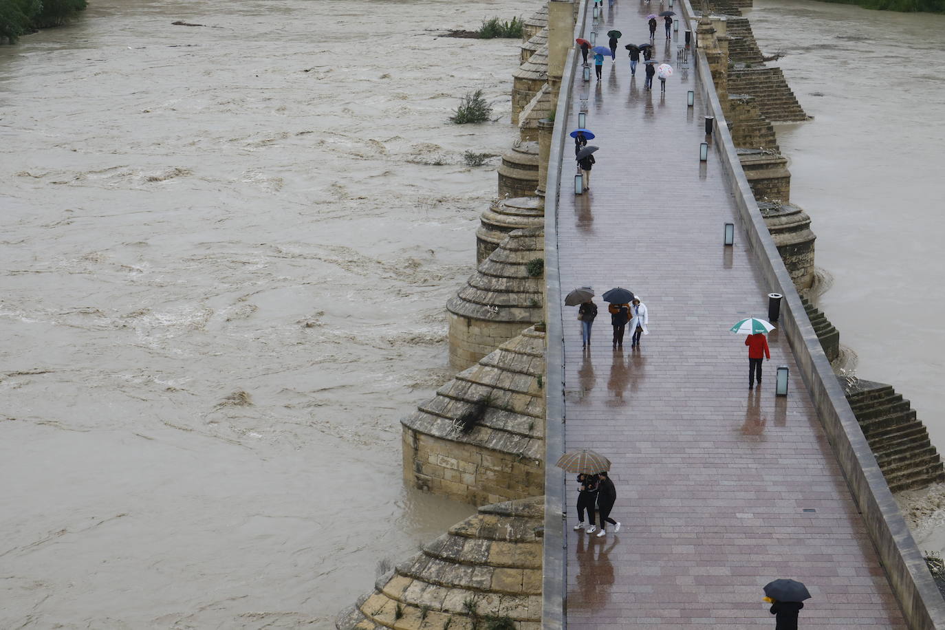 Fotos: la gran crecida del Guadalquivir a su paso por Córdoba