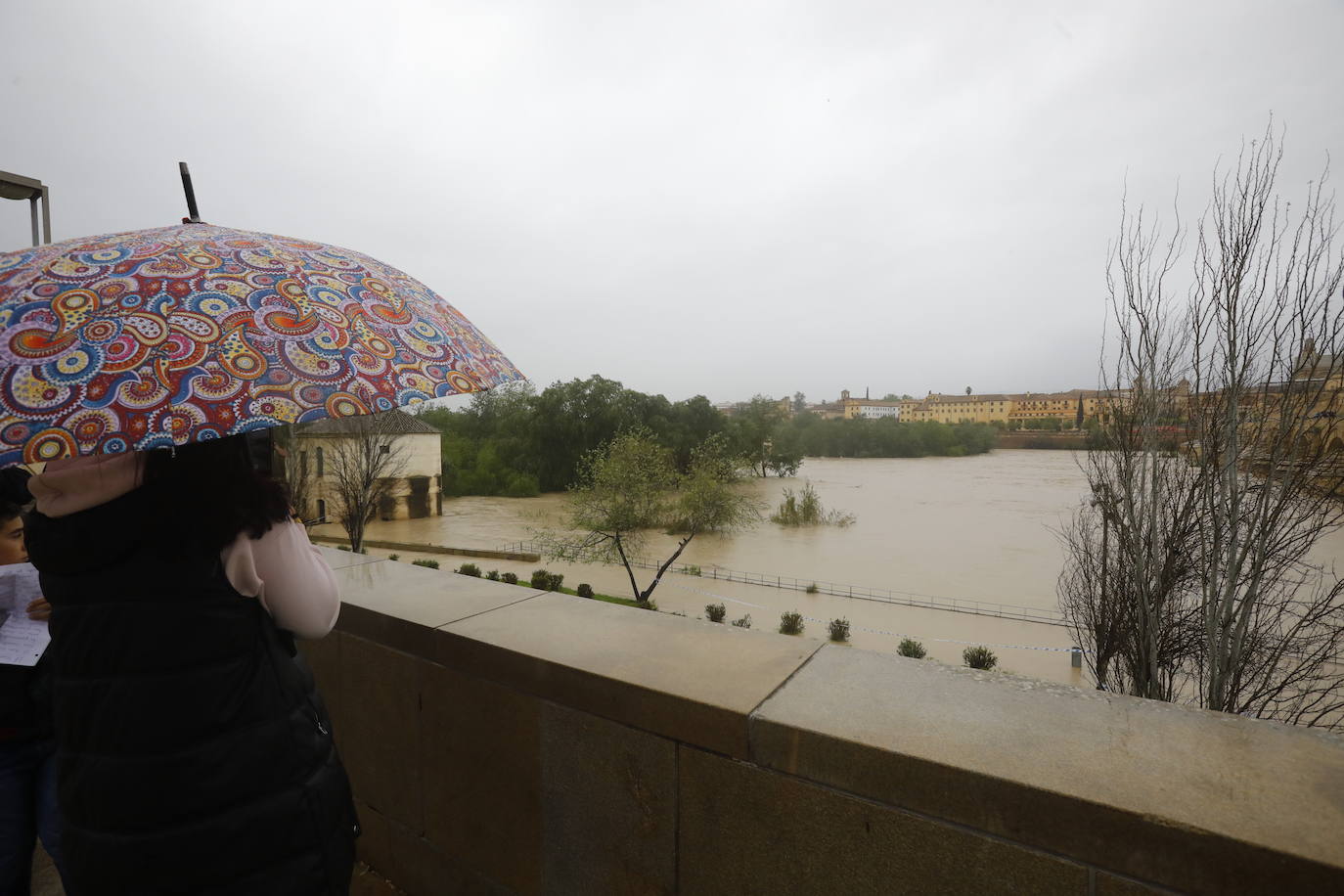 Fotos: la gran crecida del Guadalquivir a su paso por Córdoba