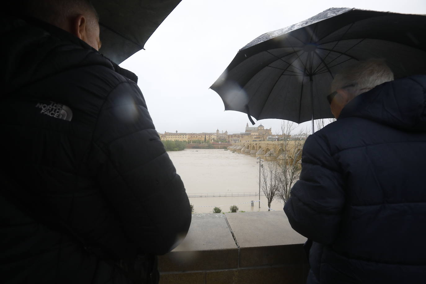 Fotos: la gran crecida del Guadalquivir a su paso por Córdoba