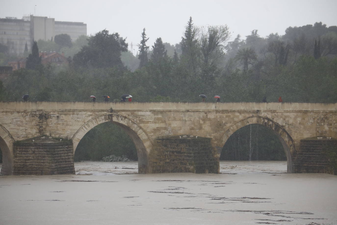 Fotos: la gran crecida del Guadalquivir a su paso por Córdoba