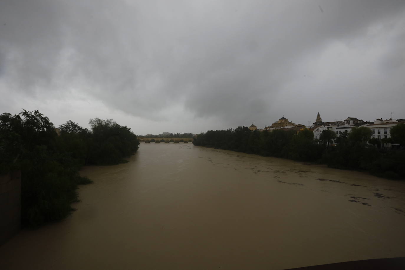 Fotos: la gran crecida del Guadalquivir a su paso por Córdoba