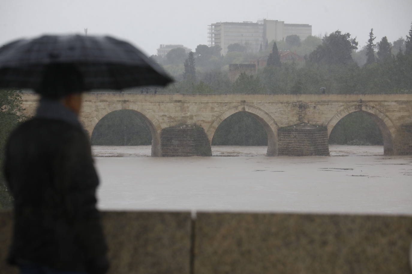 Fotos: la gran crecida del Guadalquivir a su paso por Córdoba