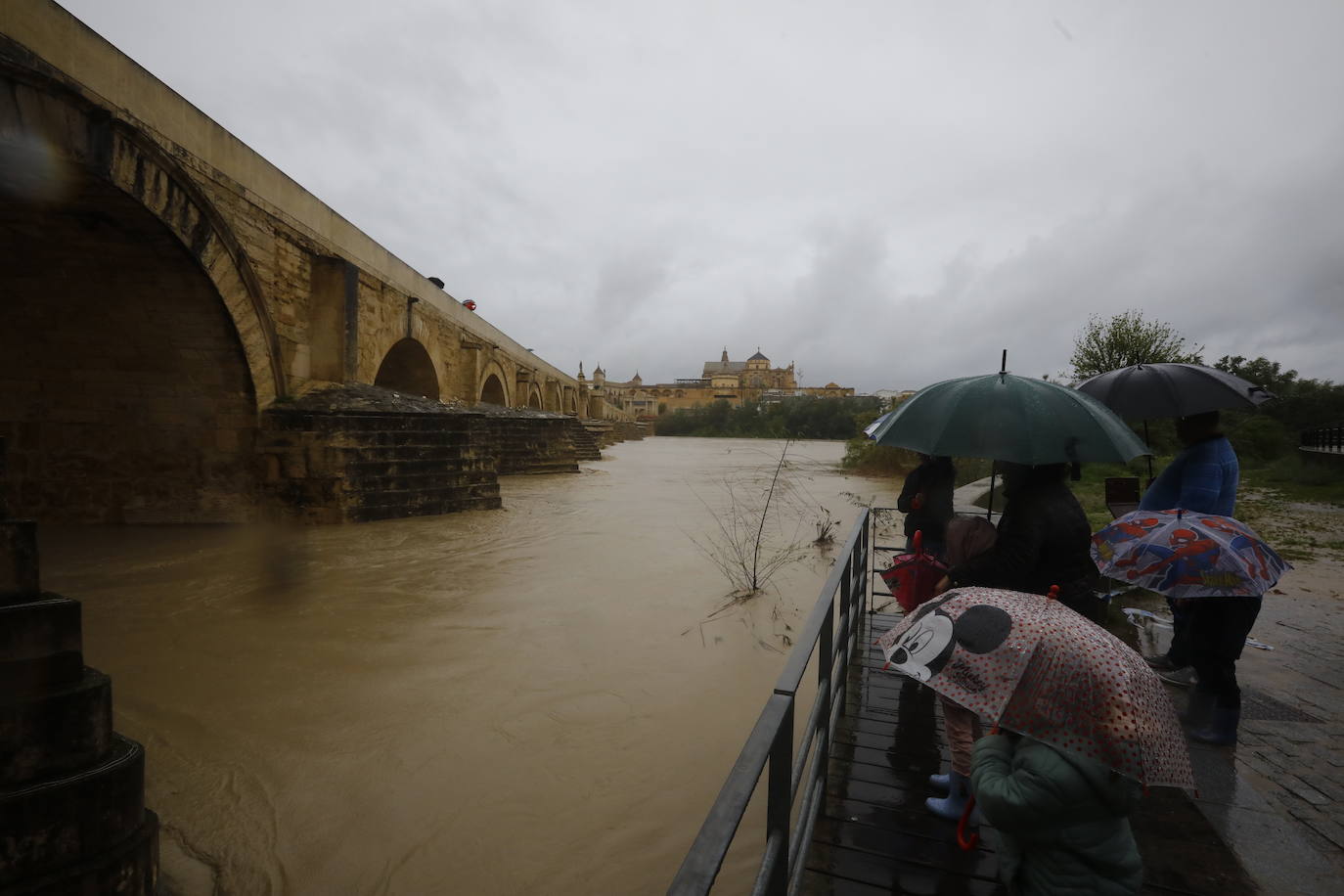 Fotos: la gran crecida del Guadalquivir a su paso por Córdoba