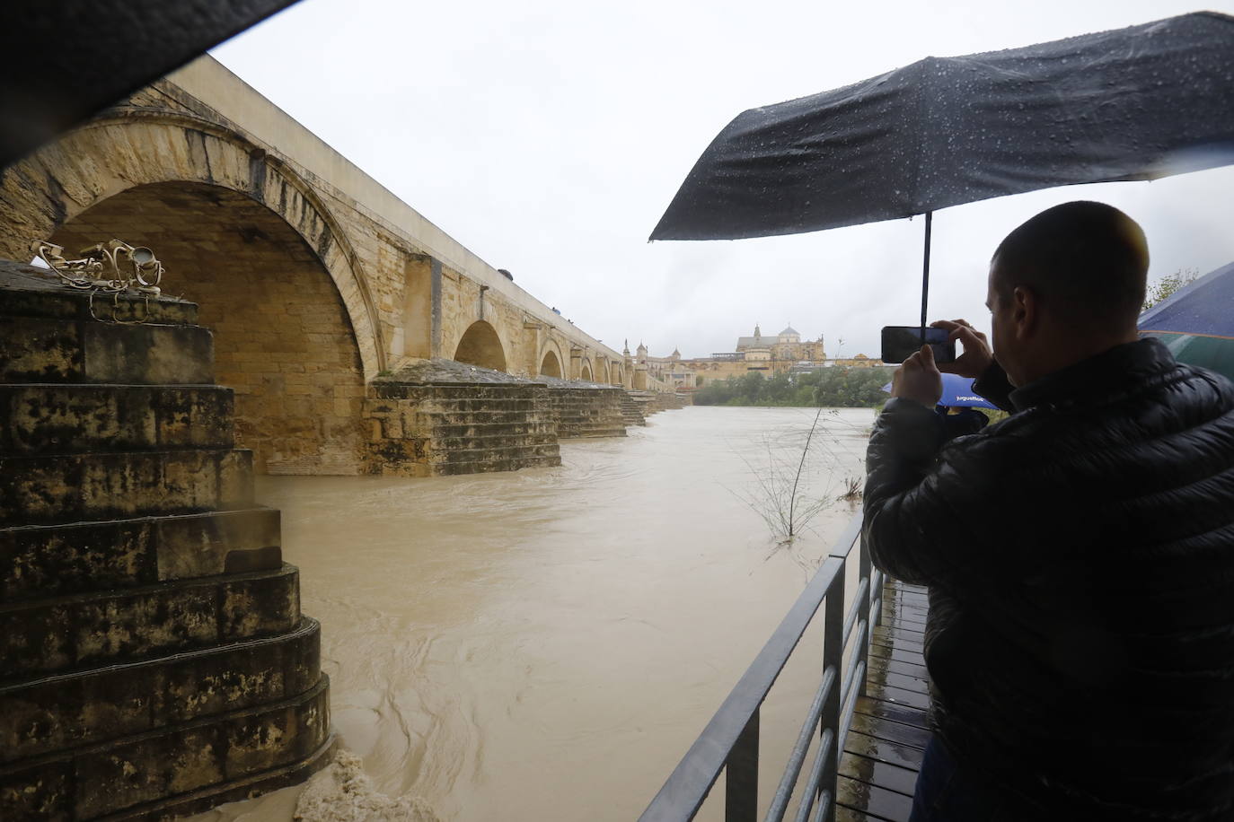 Fotos: la gran crecida del Guadalquivir a su paso por Córdoba