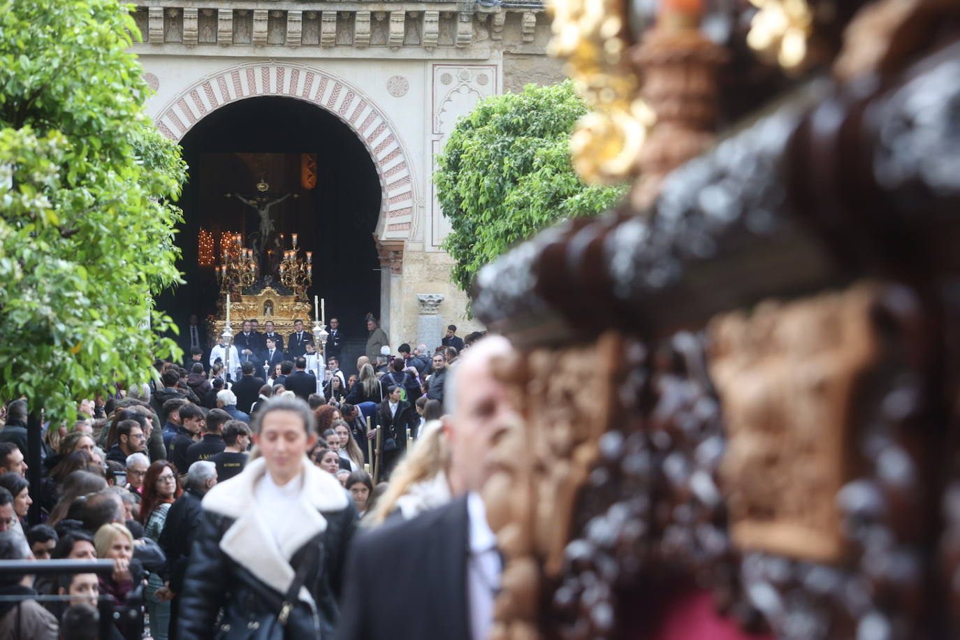 Fotos: los bellos traslados del Amor y la Vera-Cruz desde la Catedral de Córdoba a sus templos
