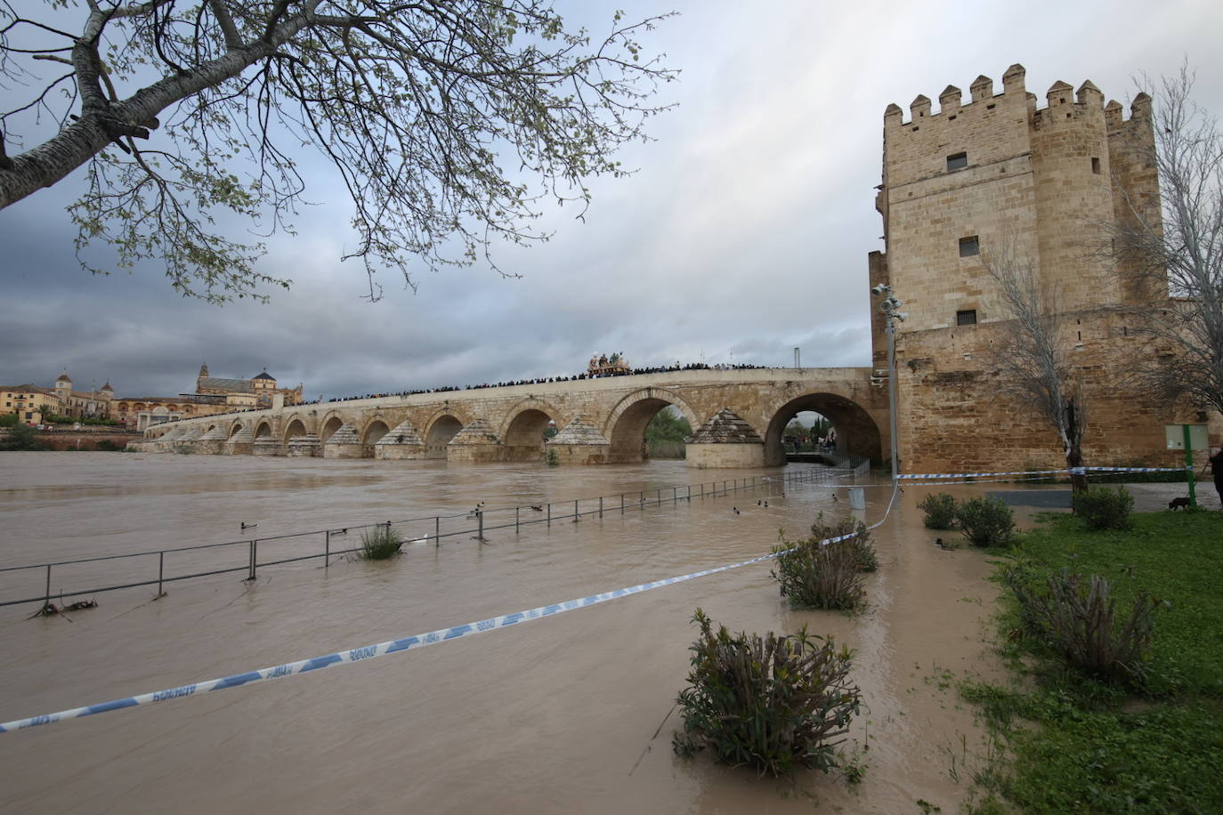 Fotos: los bellos traslados del Amor y la Vera-Cruz desde la Catedral de Córdoba a sus templos
