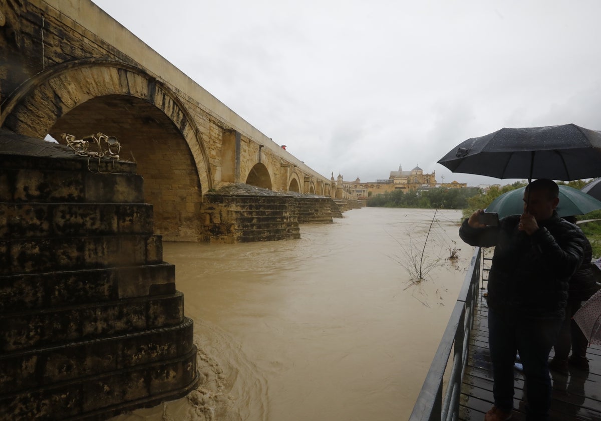 Un grupo de personas observa el caudal del río Guadalquivir bajo el Puente Romano de Córdoba