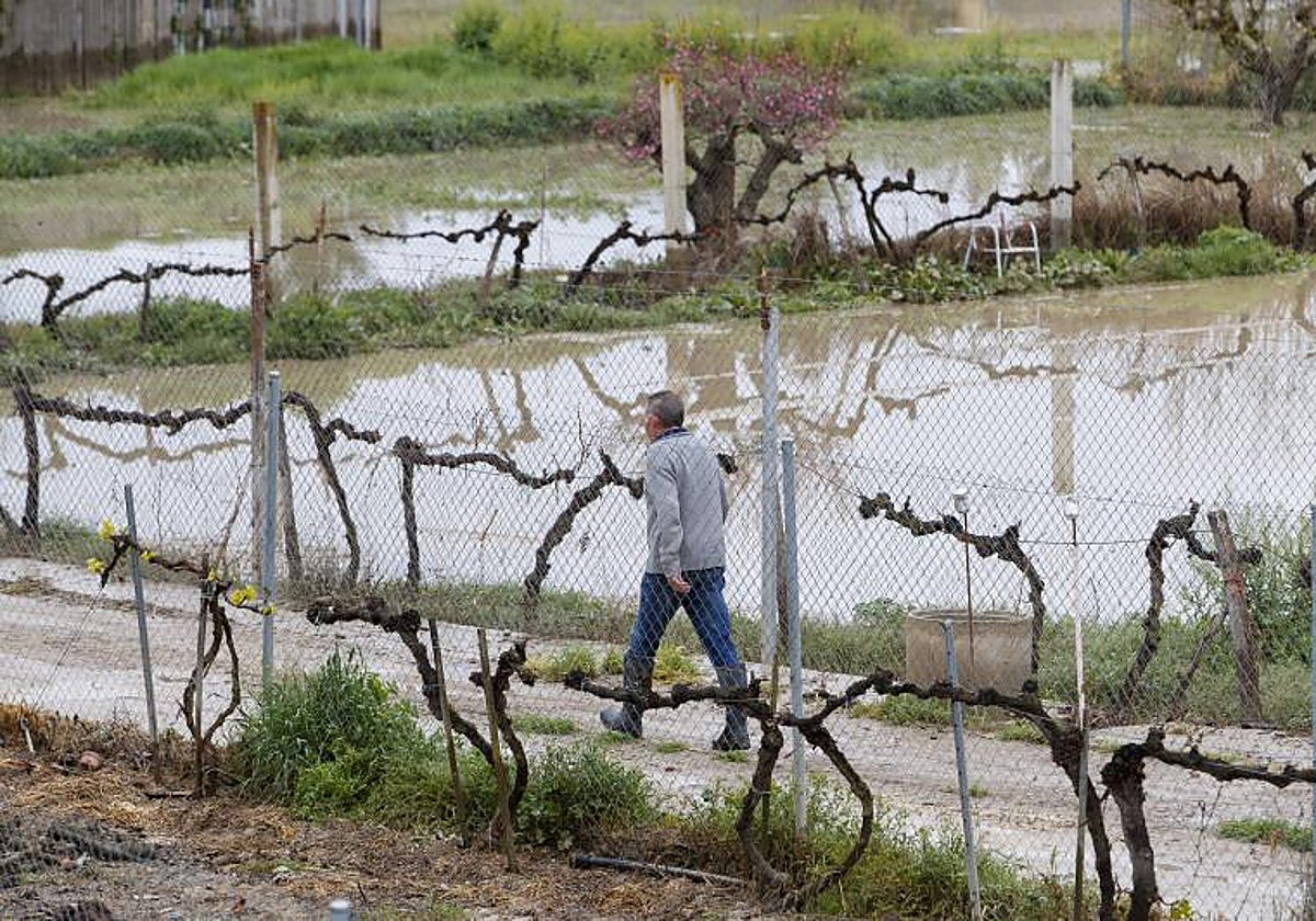 Imagen de pasado domingo con crecidas en el río Gállego, afluente del Ebro en Zaragoza.