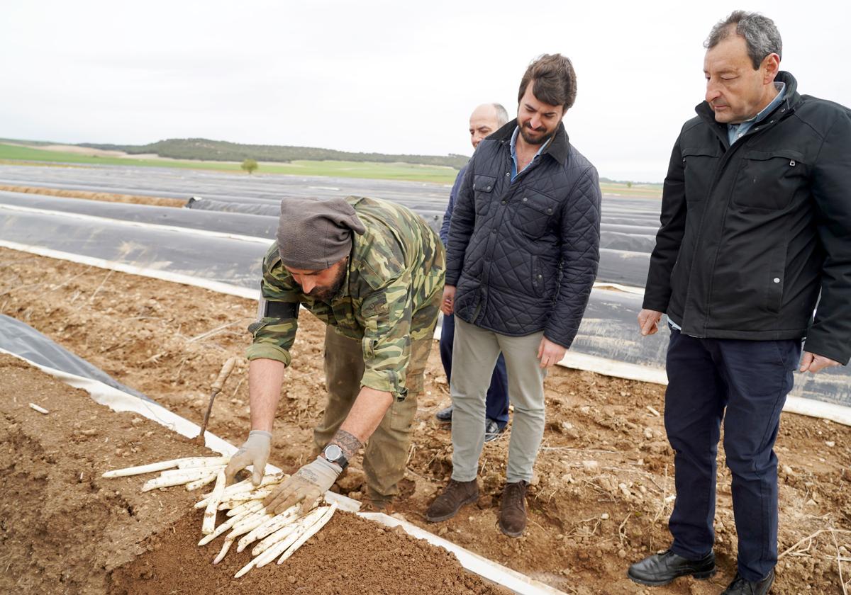 García-Gallardo, durante su visita este martes a Huerta Luis San José-Espárragos Ecológicos, en Tudela de Duero