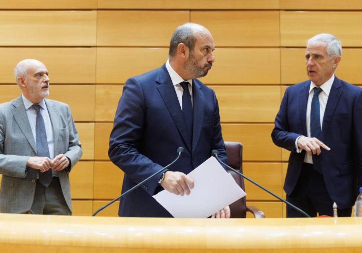 El presidente del Senado, Pedro Rollán, durante una sesión plenaria