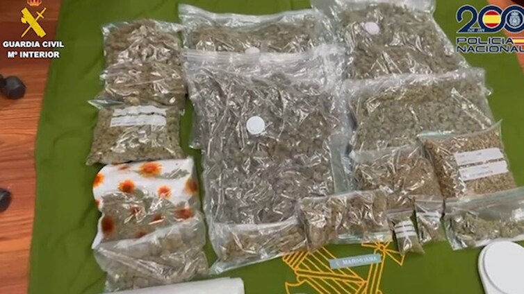 Más de 400 kilos de marihuana y hachís y 58 mil euros en efectivo: cae una trama dedicada a la venta de droga en Fuencarral