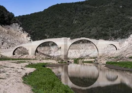 Cataluña no aplicará nuevas restricciones contra la sequía en verano, pero mantiene las actuales