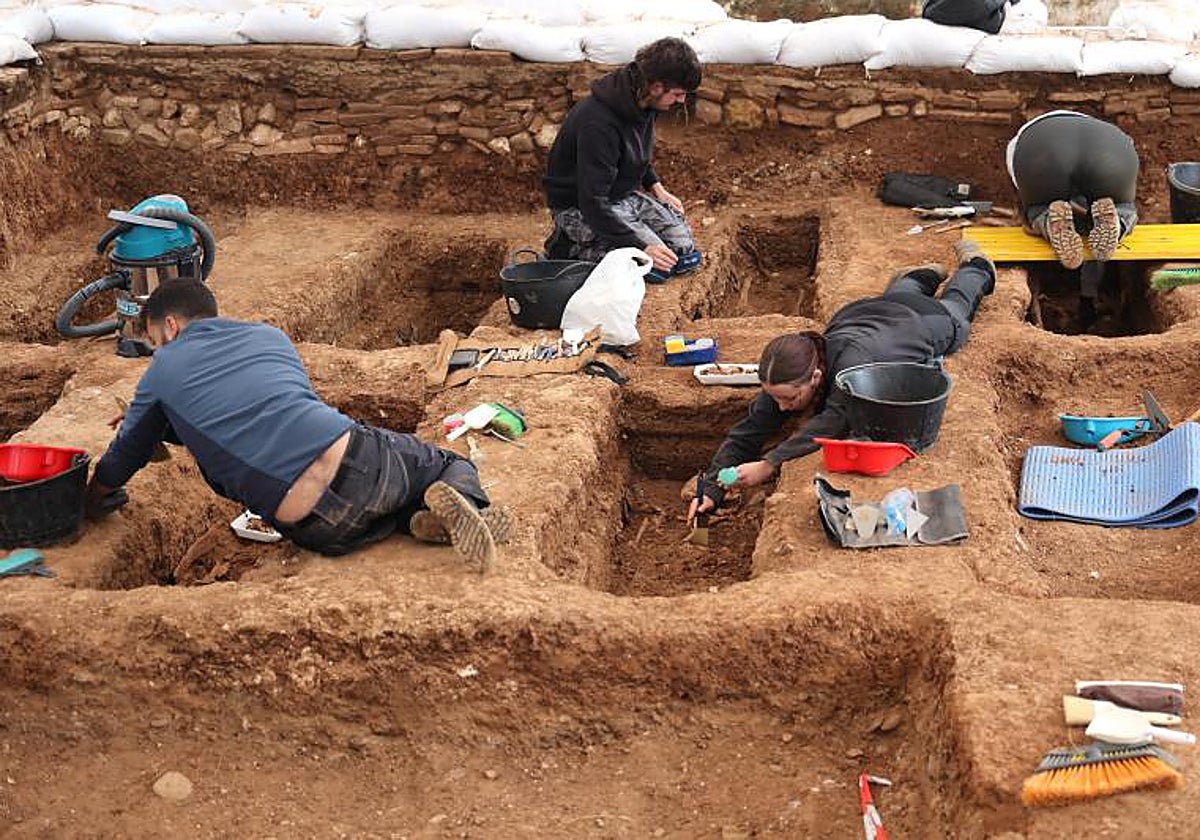 Excavaciones en una fosa del cementerio de la Salud, en Córdoba