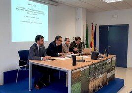 Los municipios de Cádiz, los primeros en flexibilizar restricciones por la sequía tras las últimas lluvias