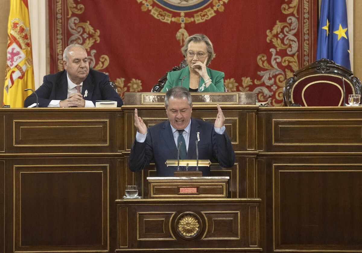 Juan Espadas, durante una intervención en el Senado