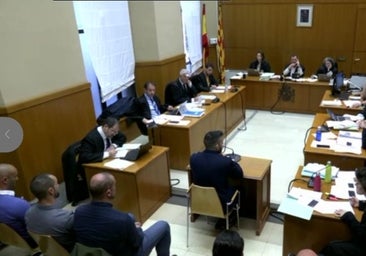 Los mossos avalan la actuación de sus compañeros y niegan haber visto la cara ensangrentada de la víctima