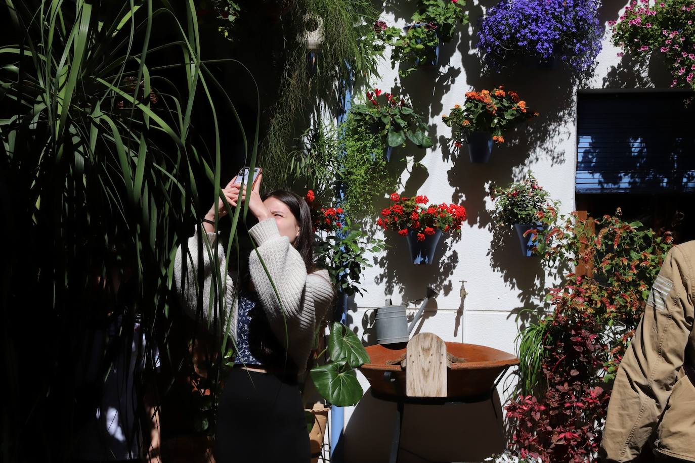 Las imágenes de la belleza de los patios de Córdoba en abril