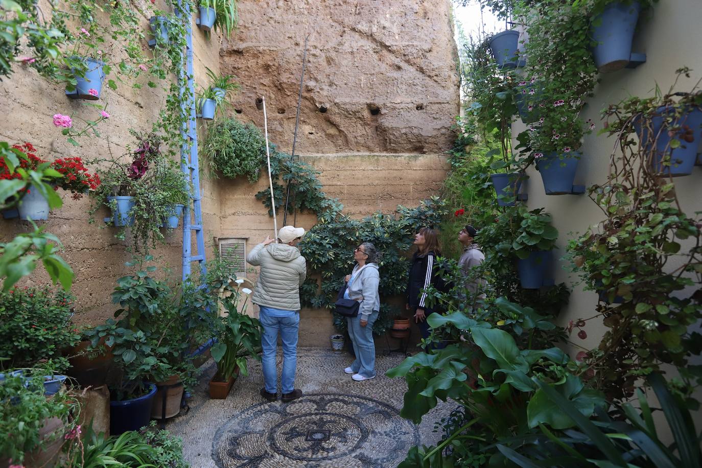 Las imágenes de la belleza de los patios de Córdoba en abril