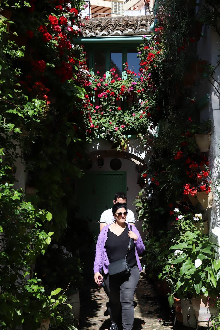 Las imágenes de la belleza de los patios de Córdoba en abril