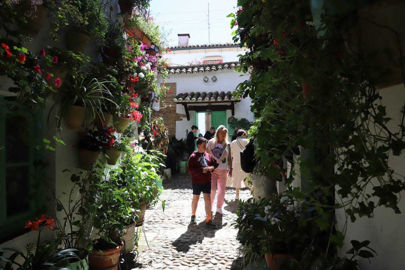 Las imágenes de la belleza de los patios de Córdoba en abril