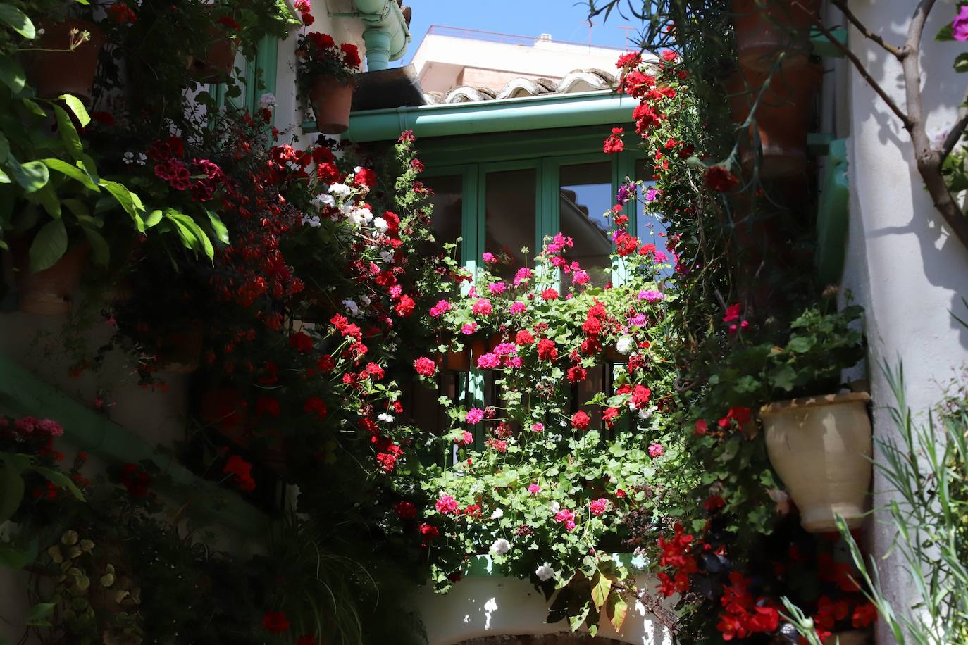 Las imágenes de la belleza de los patios de Córdoba en abril