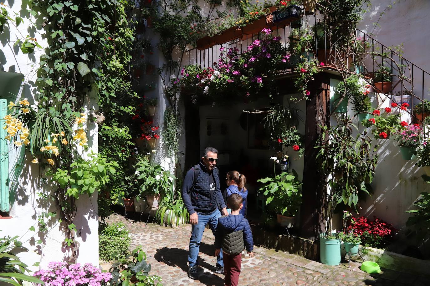 Las imágenes de la belleza de los patios de Córdoba en abril