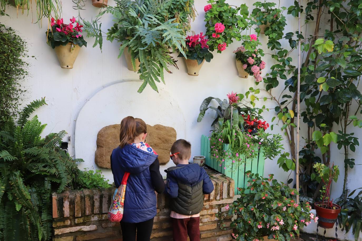 Las imágenes de la belleza de los patios de Córdoba en abril