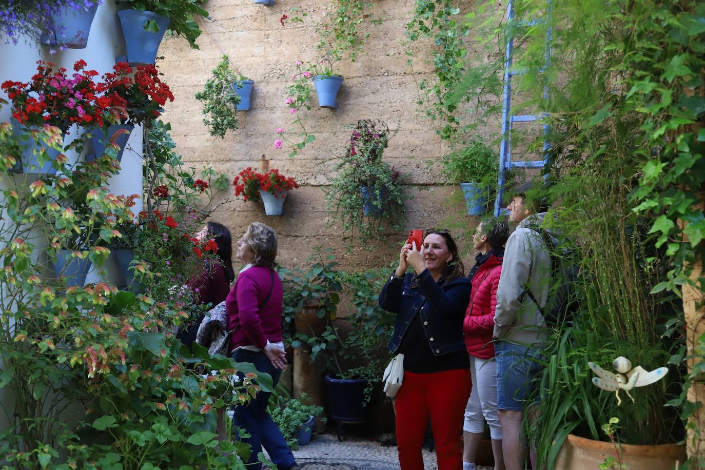 Las imágenes de la belleza de los patios de Córdoba en abril