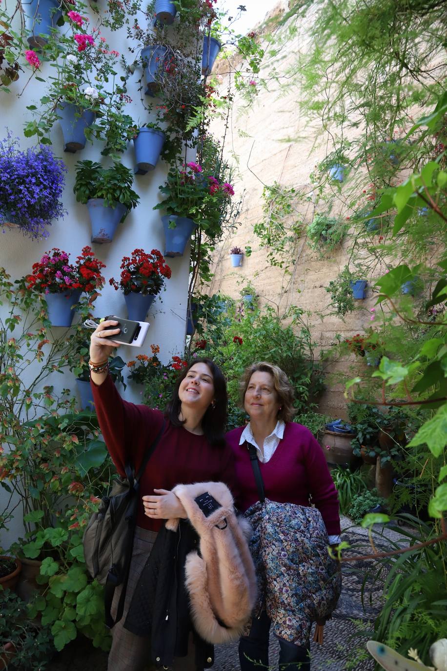 Las imágenes de la belleza de los patios de Córdoba en abril