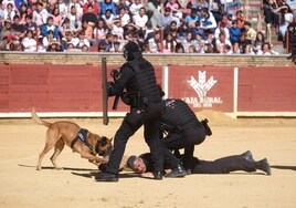 Las mejores imágenes de la exhibición de medios de la Policía Nacional en Córdoba