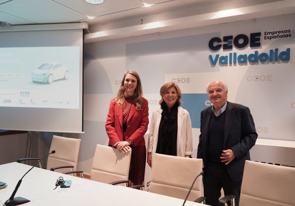 Faconauto plantea a la Junta un 'plan renove' dotado con 11 millones para achatarrar 4.500 vehículos este año