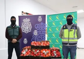 La Audiencia juzgará al Rambito y su banda: el narco cordobés que usó tomates para camuflar 22 toneladas de hachís