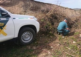 Localizan en Correos ocho cabezas de corzo que cazadores furtivos se mandaban de Soria a Huelva