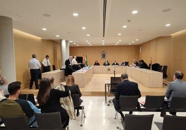 El TSJA absuelve a un joven condenado a 4 años de cárcel por violar a una amiga menor
