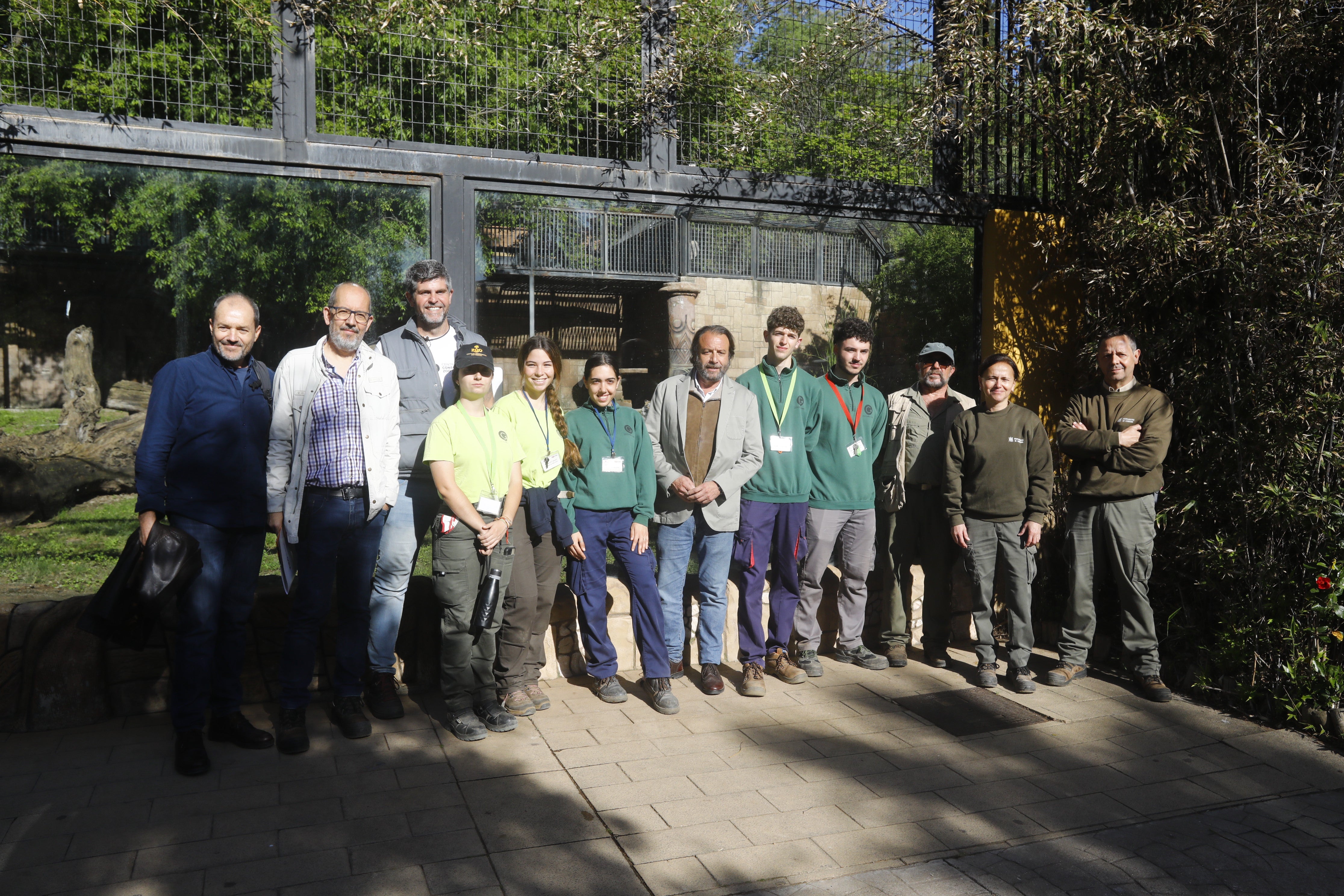 Las imágenes de los nuevos tigres de bengala del Zoo de Córdoba