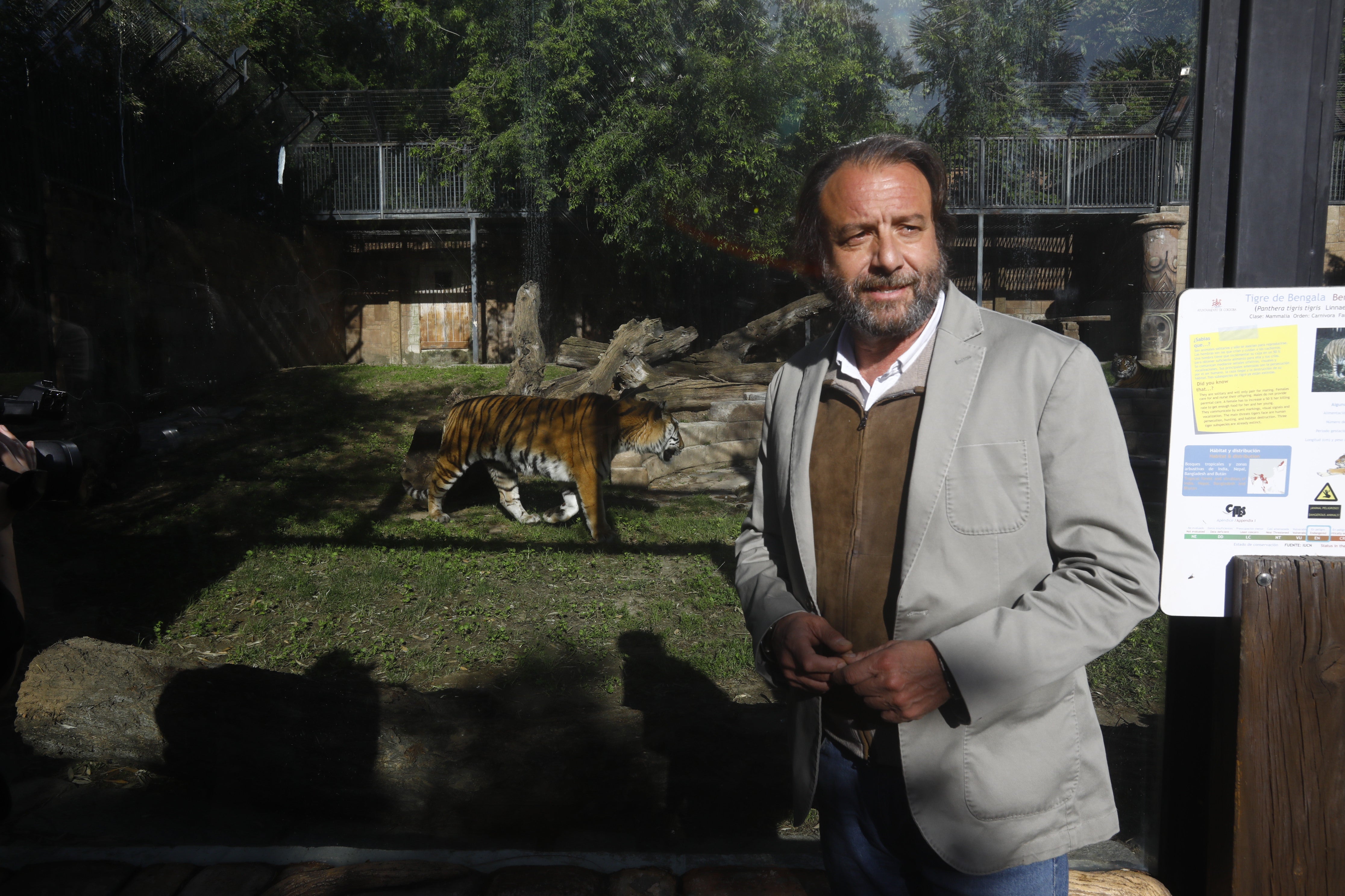 Las imágenes de los nuevos tigres de bengala del Zoo de Córdoba