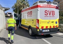 Dos perros muerden a dos hombres en piernas y brazos en Alicante