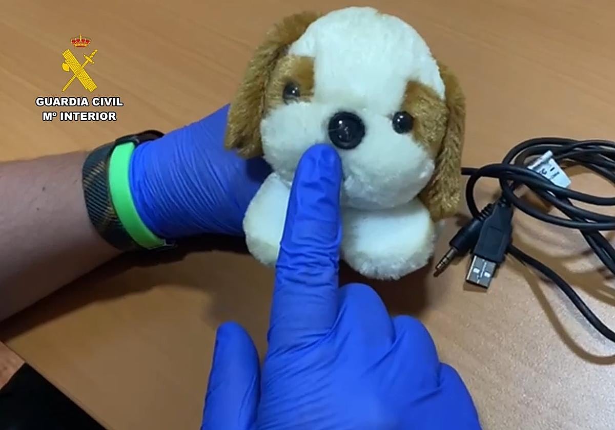El novio de la víctima halló una cámara en un osito de peluche