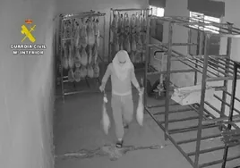 Detenido un hombre de 41 años por el robo en un almacén de Polán de jamones ibéricos