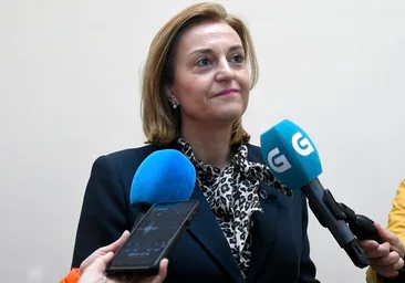 La exconselleira Elena Rivo renuncia al acta de diputada dos días después de no ser revalidada en el cargo
