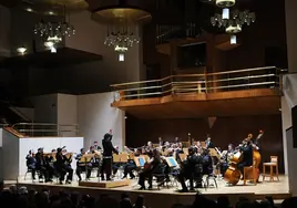 Camerata Musicalis en el Auditorio Nacional