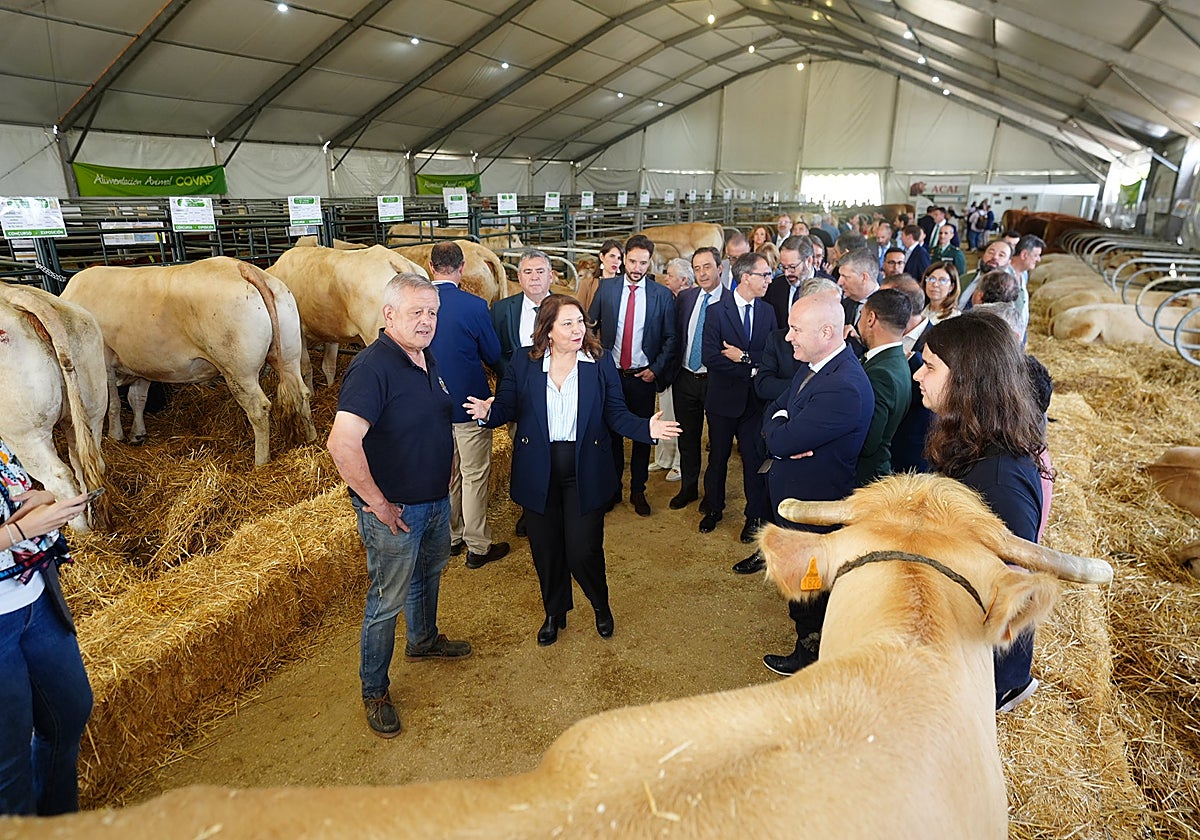 La consejera Crespo en la zona de exposición de vacuno en la Feria Agroganadera