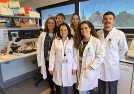 Investigación del Imibic en Córdoba: diseñan un material que regenera córneas inflamadas y evita trasplantes