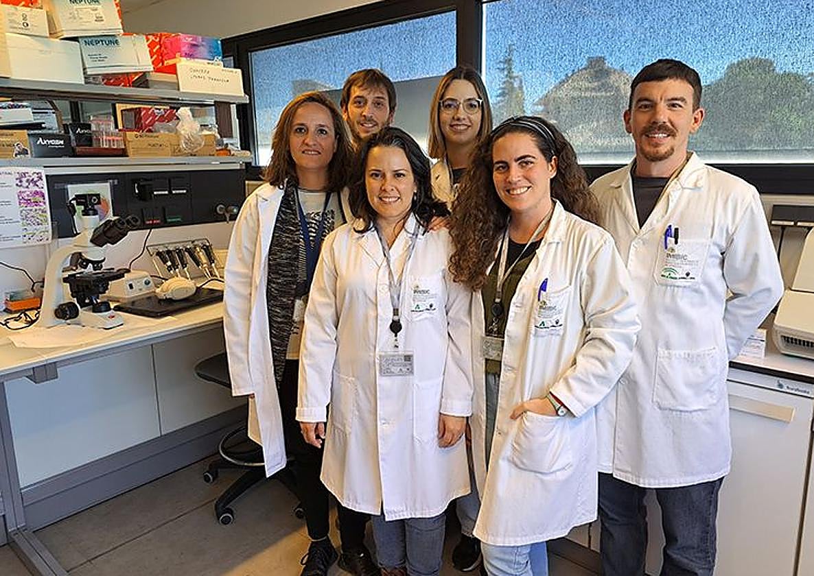 Investigadores que han desarrollado el biomaterial inyectable