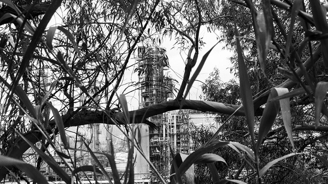 La batalla por la supremacía nacionalista