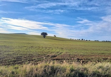 El Gobierno no descarta ahora proyectos de tierras raras, pero con condiciones