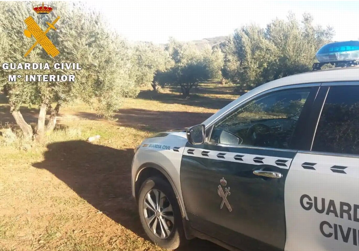 Muere asfixiado un hombre de 83 años al enredarse con las ramas de un árbol al ir con su tractor en Medranda