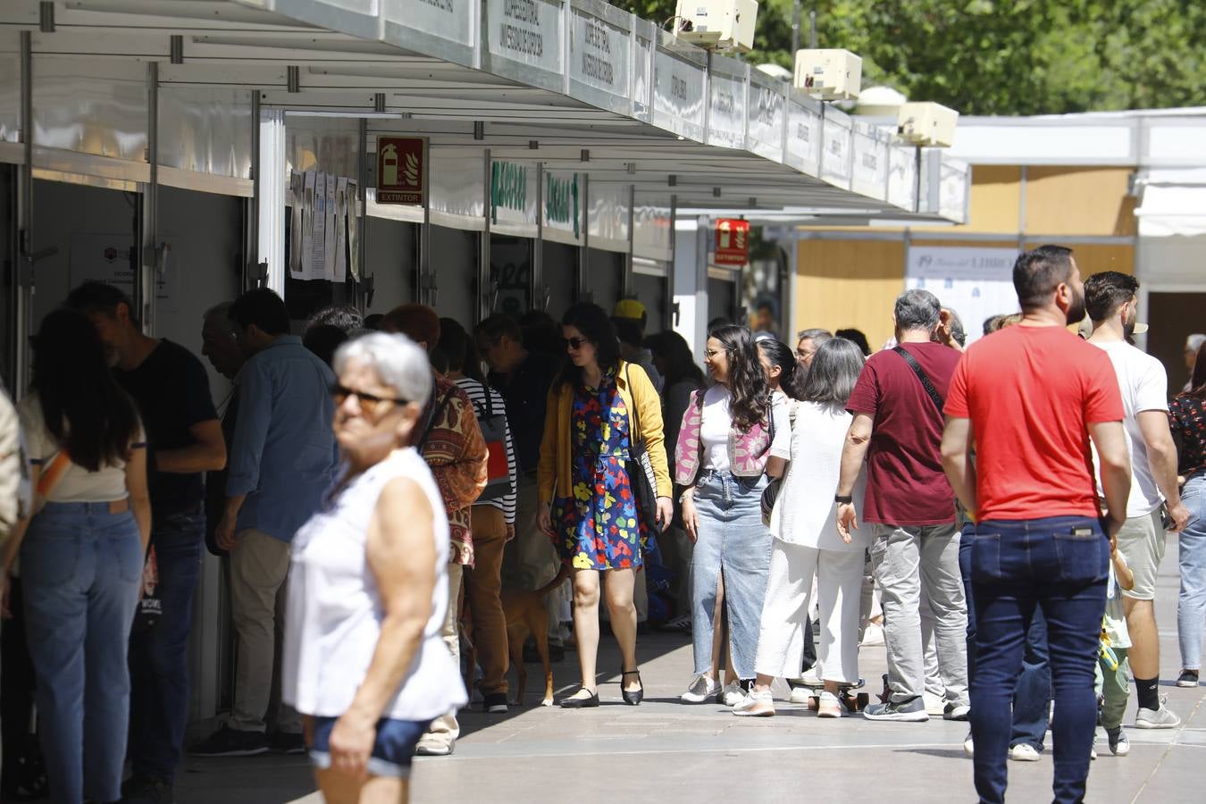 Las imágenes de la Feria del Libro de Córdoba en un domingo de gran ambiente